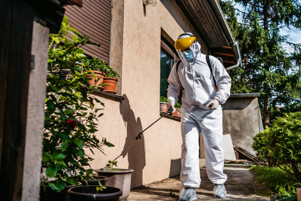 Best Local Pest Control Services  in Maeser, UT