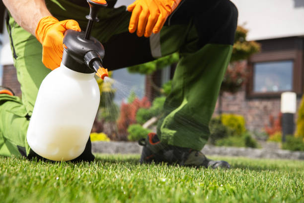 Best Local Pest Control Services  in Maeser, UT