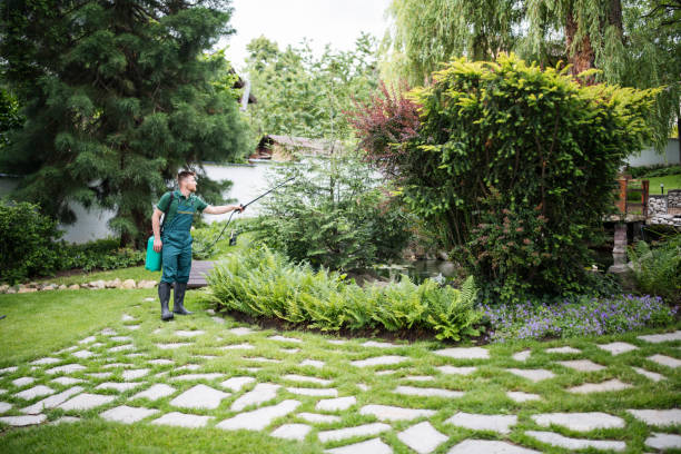 Wasp Removal Services in Maeser, UT