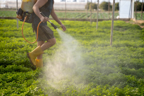 Best Wasp Removal Services  in Maeser, UT