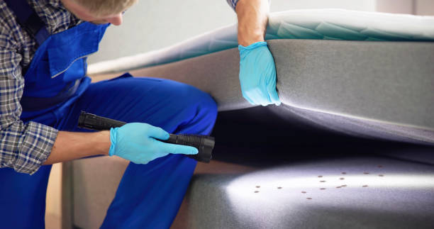 Best Flea Control Services  in Maeser, UT