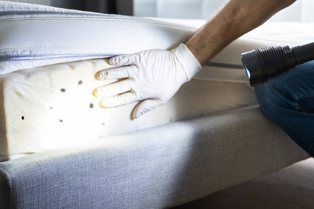 Best Pest Inspection Near Me  in Maeser, UT