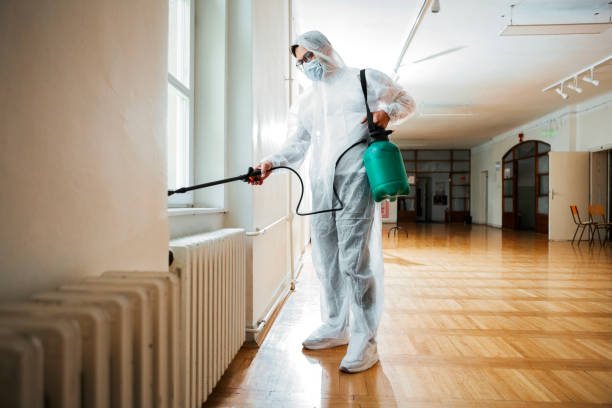 Best Residential Pest Control  in Maeser, UT