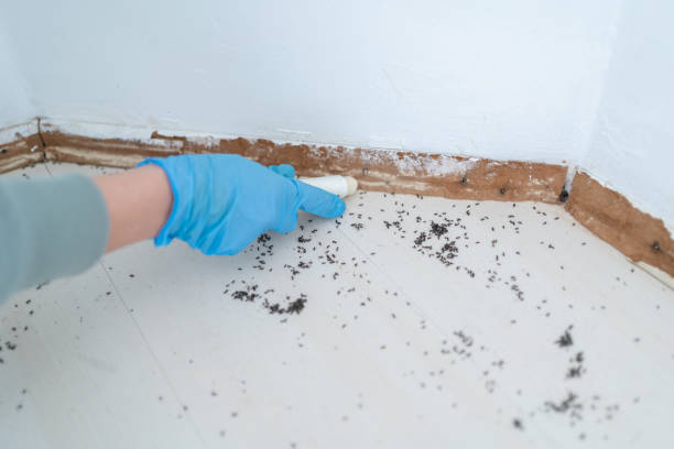 Best Wildlife Control Services  in Maeser, UT