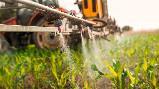 Best Pest Prevention Services  in Maeser, UT