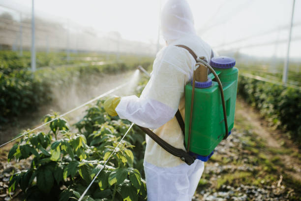 Best Commercial Pest Control Services  in Maeser, UT